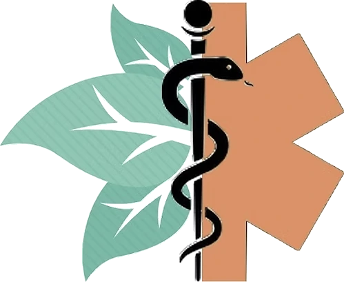 Logo SOS Infirmiers 06
